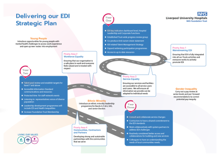 edi-strategic-plan-01.png